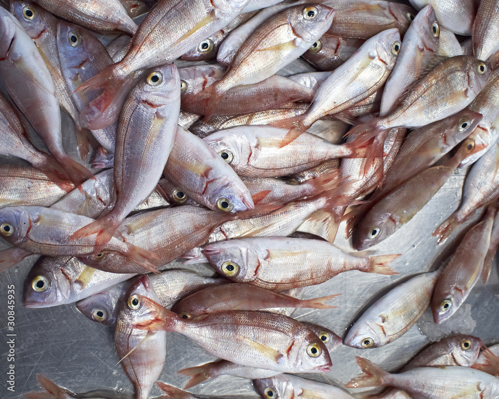 common pandora fish at the central market, natural background common pandora fish at the central market, natural background