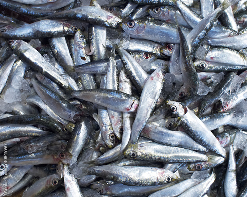 anchovies fish at the central market, natural background photo