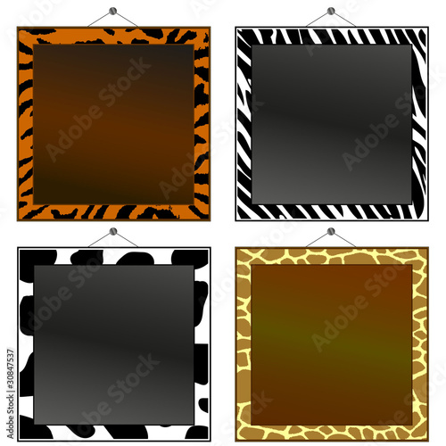 Animal print frames