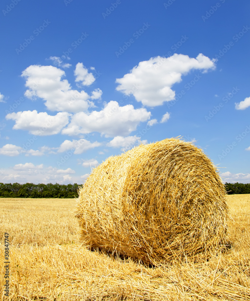 Straw bales in a field with blue sky