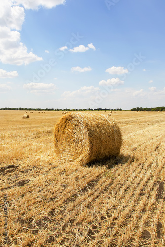 Straw bales in a field with blue sky