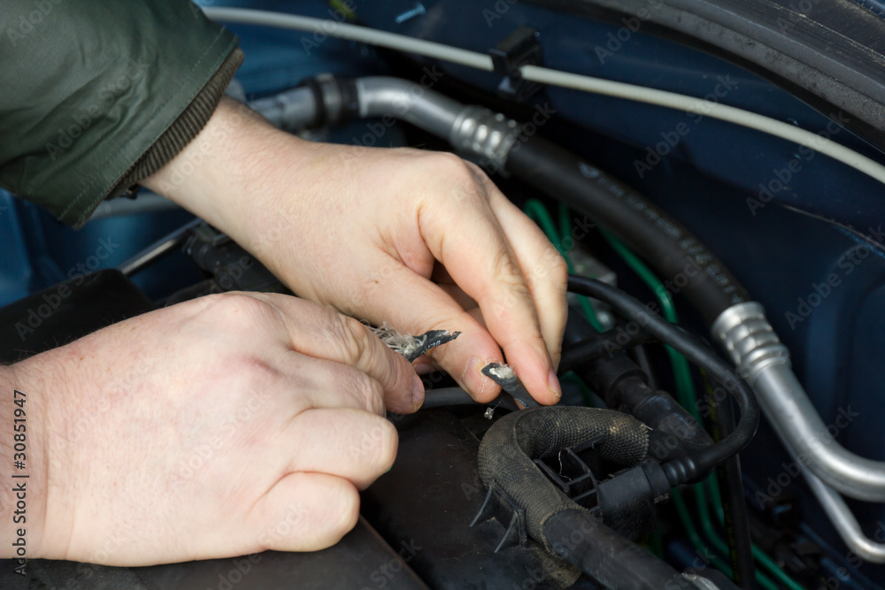 Marderschaden am Auto Marderschaden am Auto