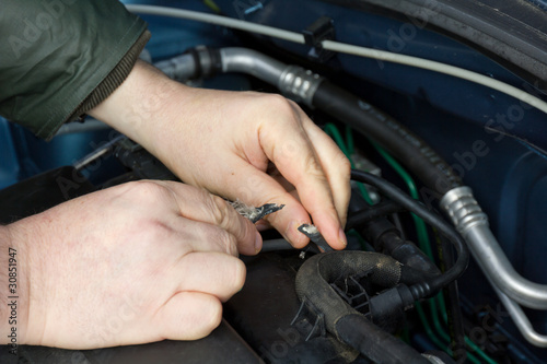 Marderschaden am Auto