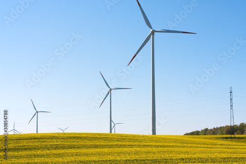 Rape seed field with wind turbines