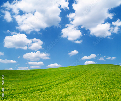 background of cloudy sky and grass