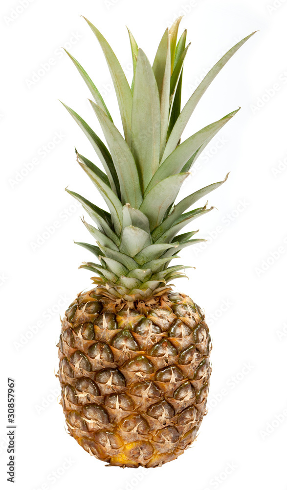 ripe pineapple isolated on white ripe pineapple isolated on white