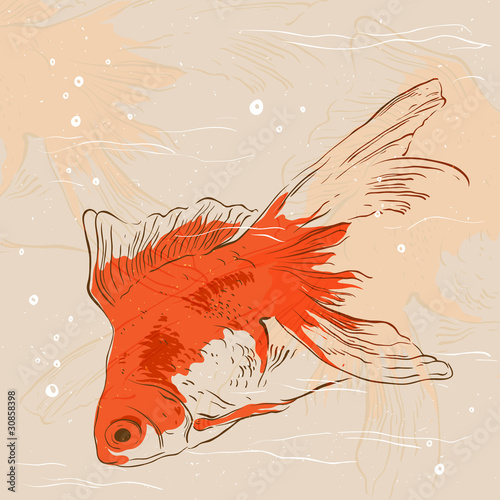 Goldfish