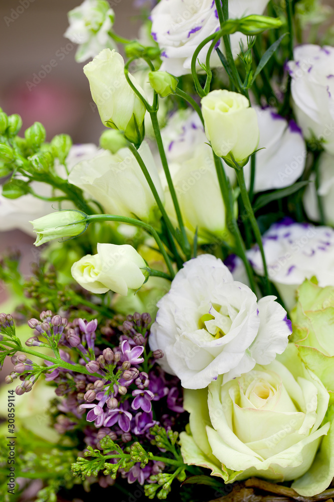 Obraz premium piękny bukiet