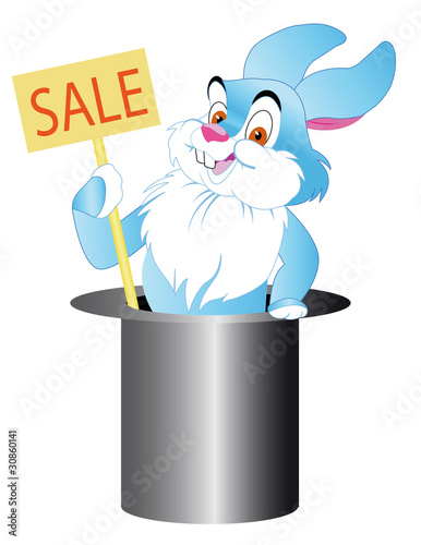 rabbit  keeps sale