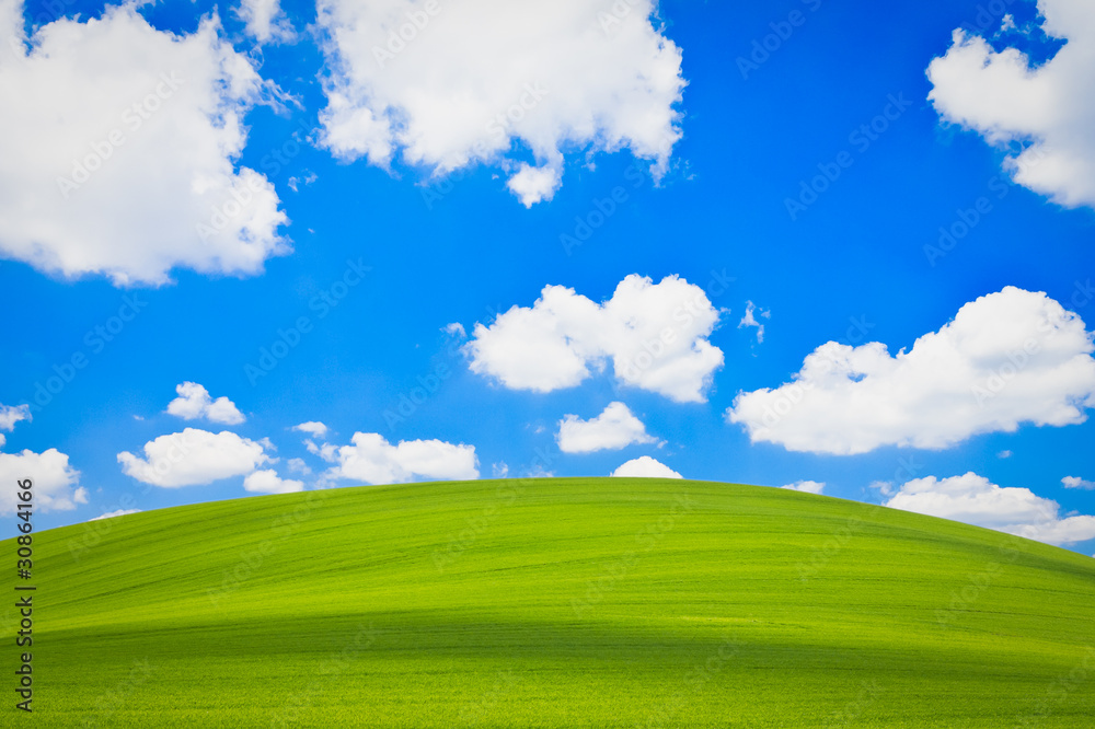 Obraz premium green field