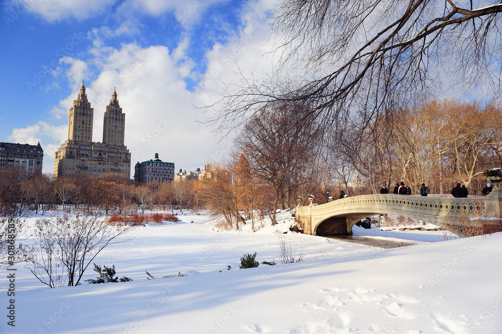 New York City Manhattan Central Park panorama in winter