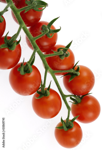 grappe de petites tomates cerises
