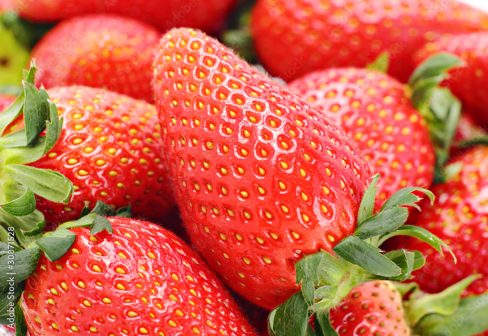 fresh strawberry fresh strawberry
