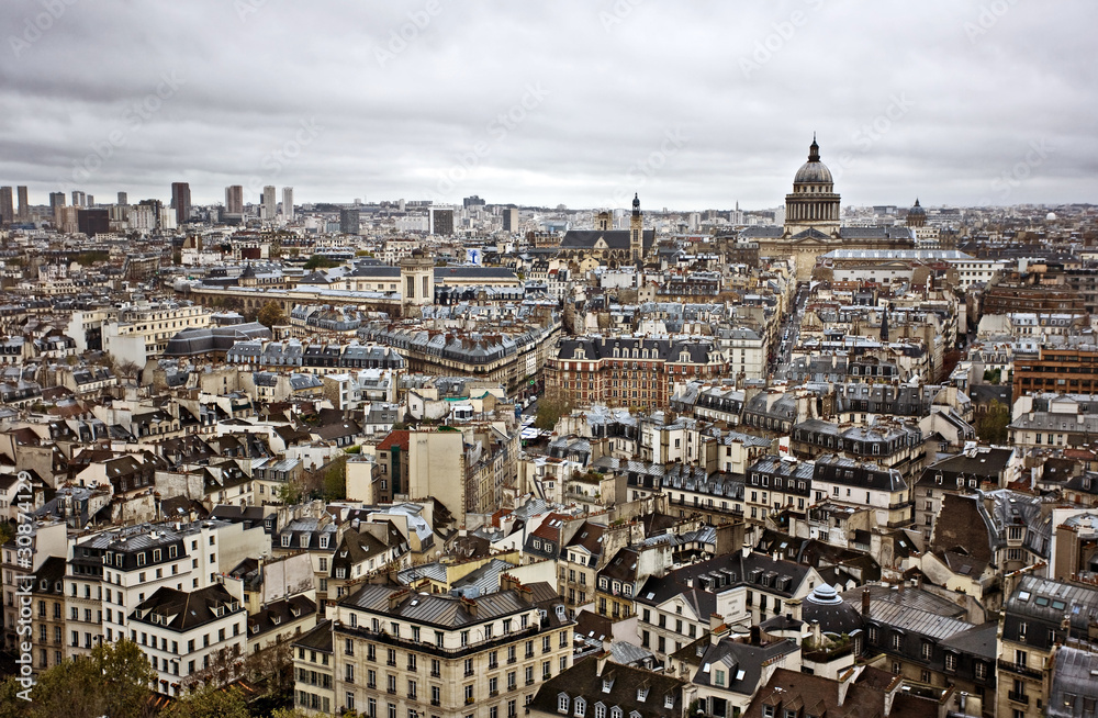Fototapeta premium Paris Skyline