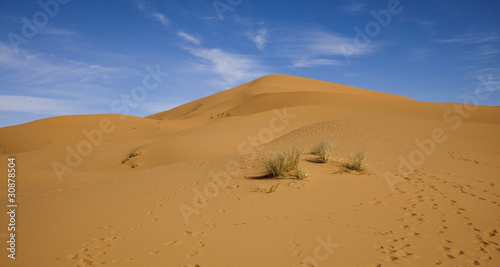 Dunes in Moroccan Sahara