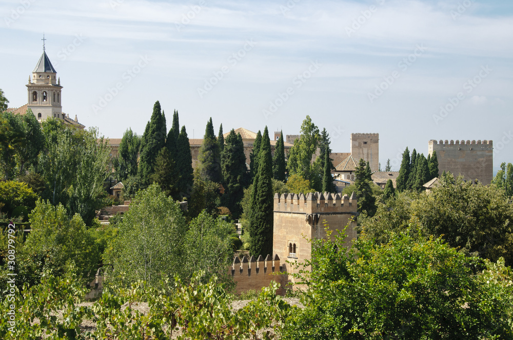 Alhambra palace as seen from Generalife gardens