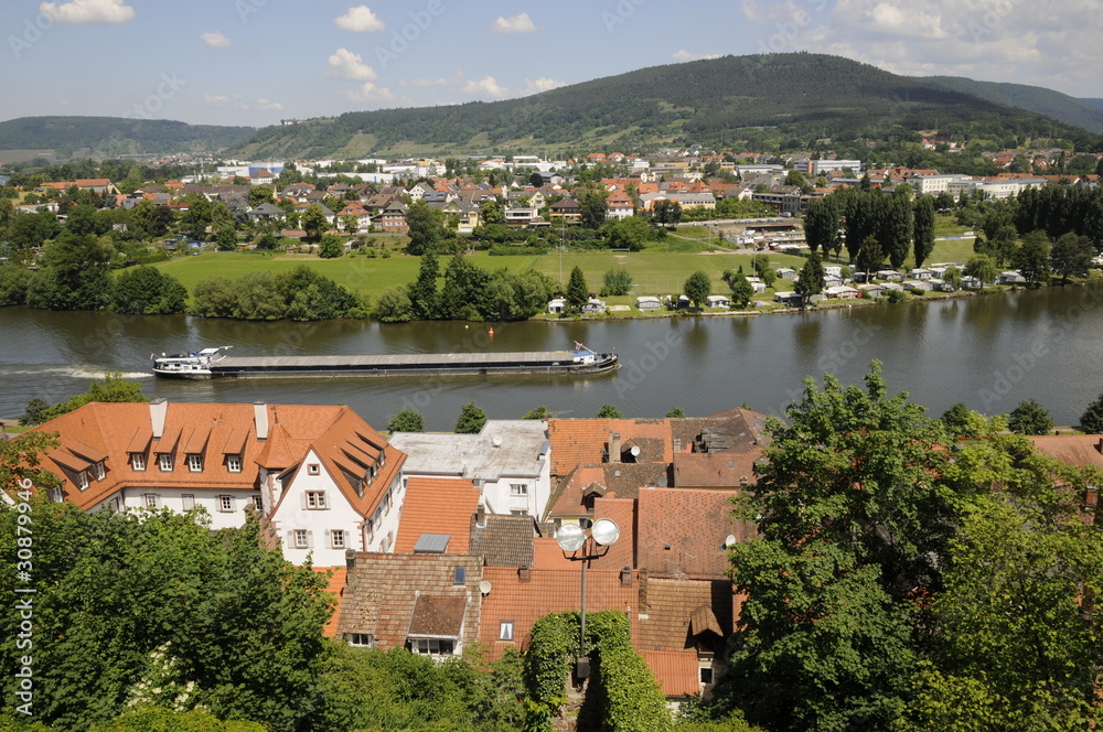 Obraz premium Main bei Miltenberg