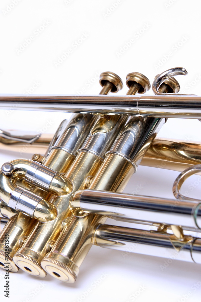 Obraz premium Trompete
