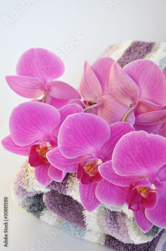 Orchideen mit Handtuch