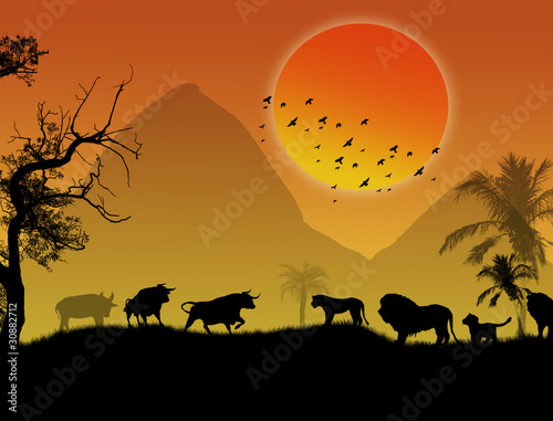Wild animals