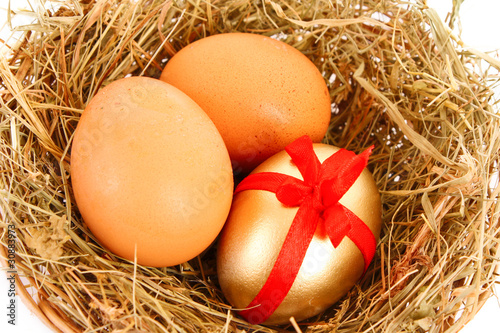 Brown,white and golden hen's egg in the grassy nest