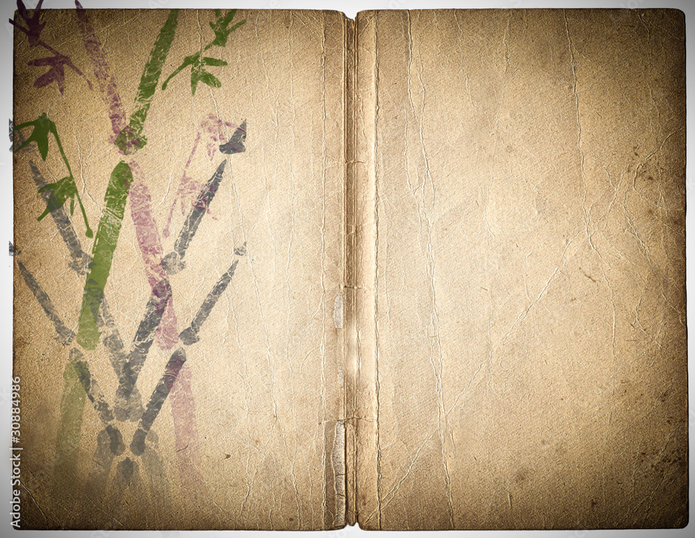 Fototapeta bamboo on old grunge antique paper texture .