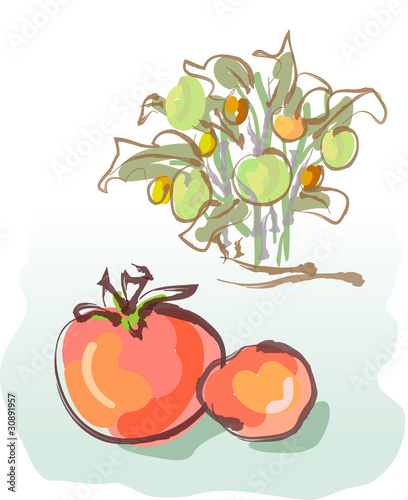 Tomatoes