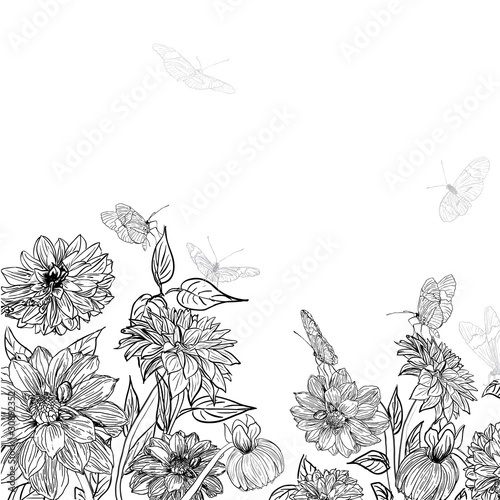 Fototapeta Naklejka Na Ścianę i Meble -  garden sketch with butterlies