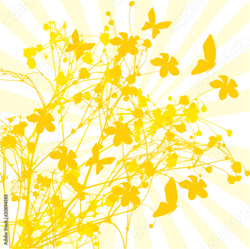 Abstract floral background, element for design