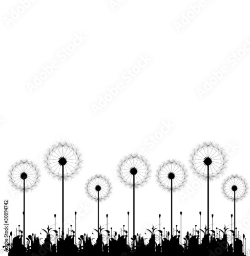 dandelion design