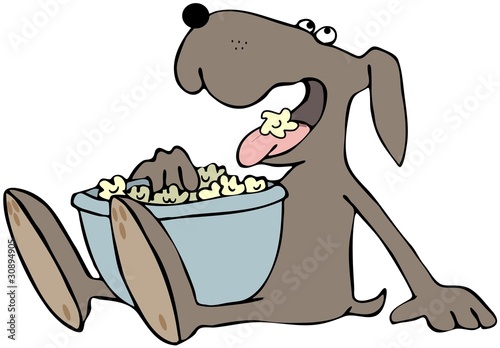 Dog Eating Popcorn