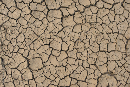 Dried Earth Background