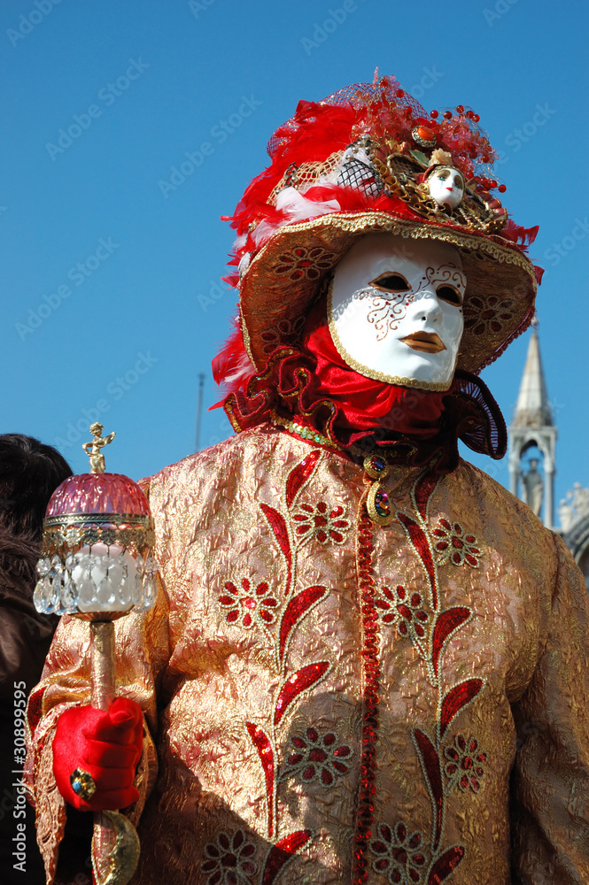 Mask at St. Mark's Square ,Venice carnival 2011