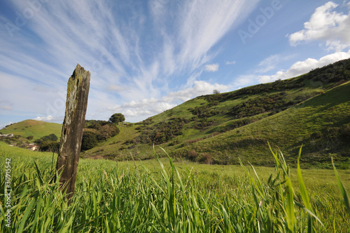Field with grass, hils, fence post and sky