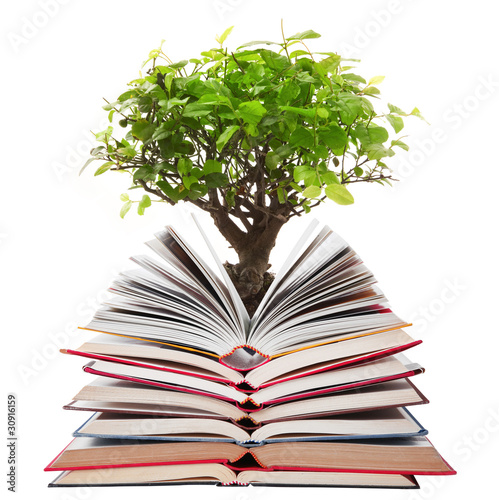 libri aperti con albero photo