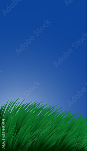 Background with grass and sky