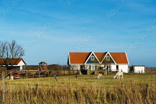 Wallpaper Mural Dutch landscape Torontodigital.ca