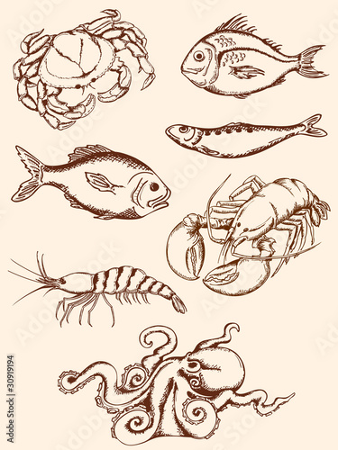 hand drawn seafood icons