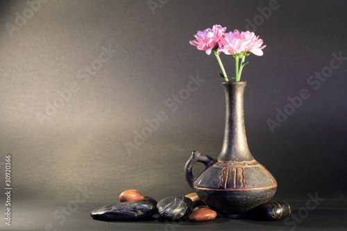 Flower And Stones