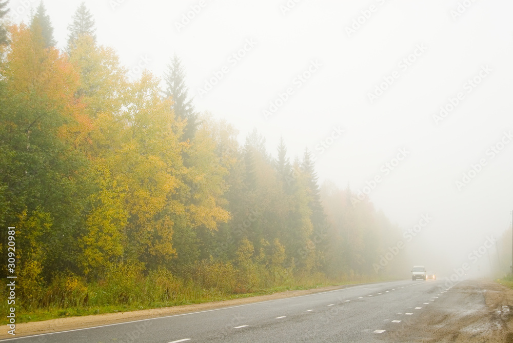 Foggy morning road