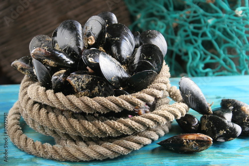 Foto moules