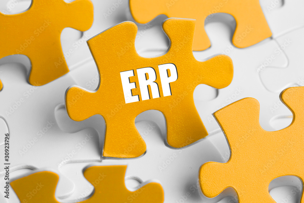 Fototapeta premium ERP
