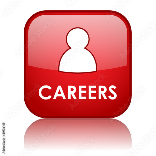 "CAREERS" Web Button (jobs seeking vacancies search job offers)