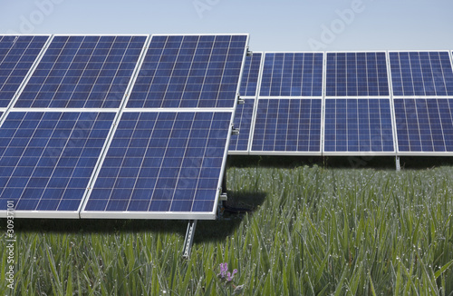 Placas solares en la hierba