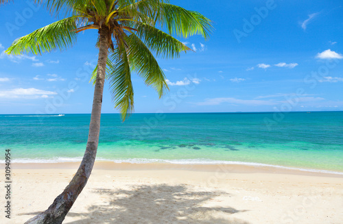 Fototapeta Naklejka Na Ścianę i Meble -  tropical beach with coconut palm. Koh Lanta, Thailand
