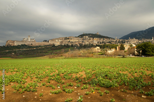 Città di Assisi photo