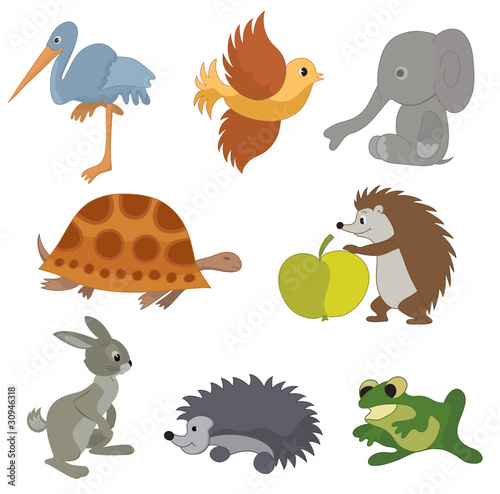 set of vector small animals