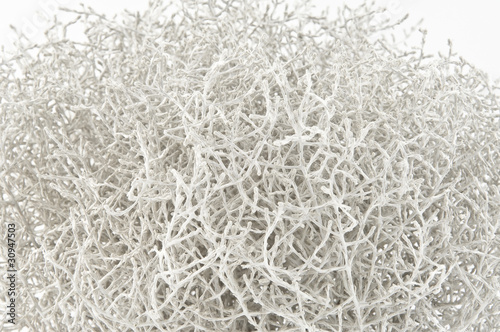 Branchage conception