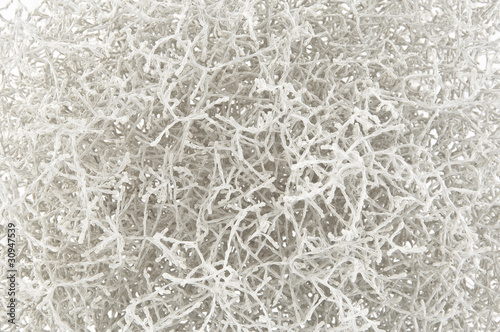 Branchage conception