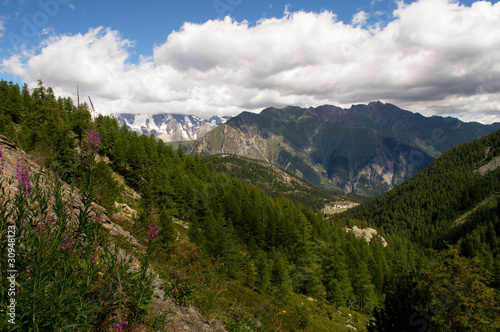 Alpi in estate